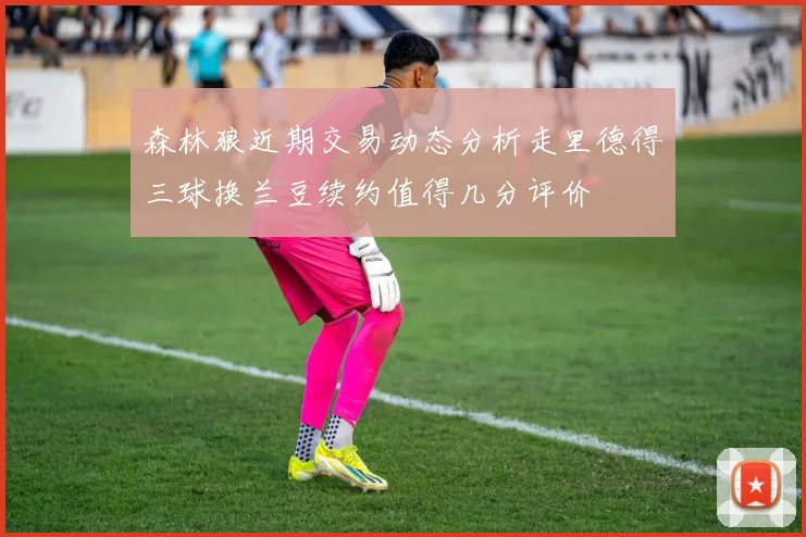 森林狼近期交易动态分析走里德得三球换兰豆续约值得几分评价